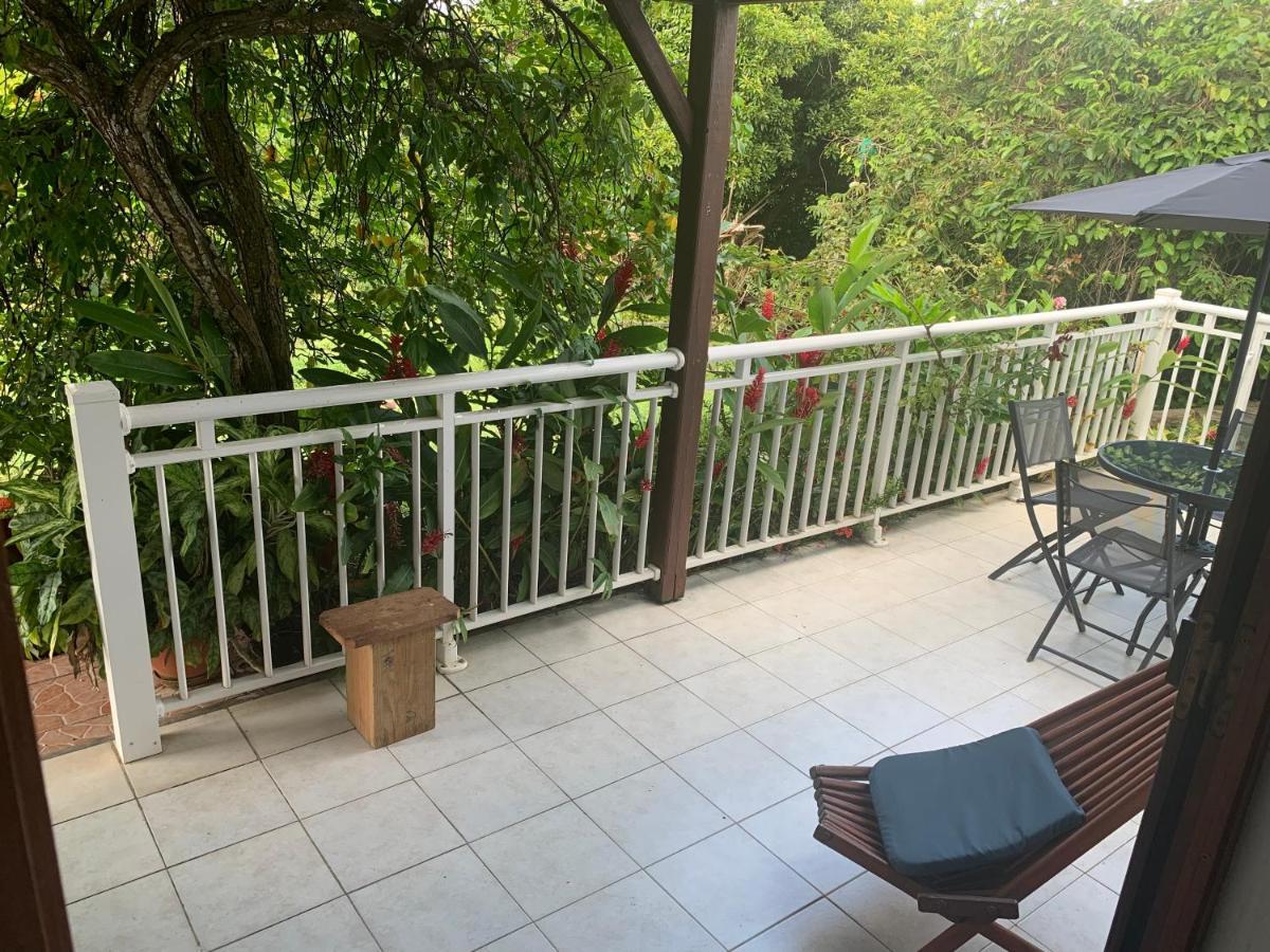 Logement Vacances Gissac Sainte-Anne Exterior photo